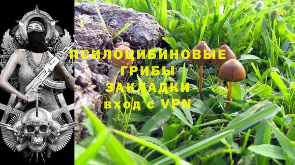 МДПВ Алзамай
