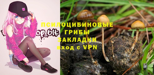 МДПВ Алзамай