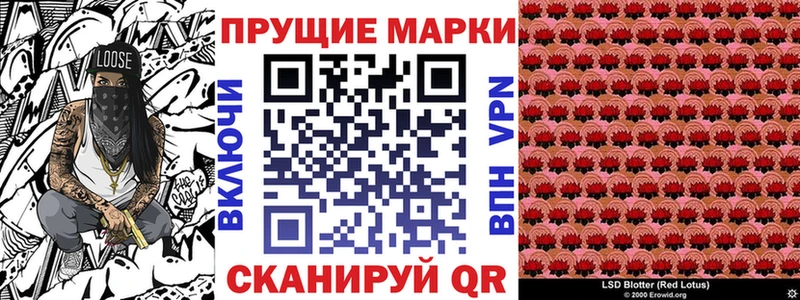 блэк спрут tor  Гаджиево  Марки 25I-NBOMe 1,5мг 