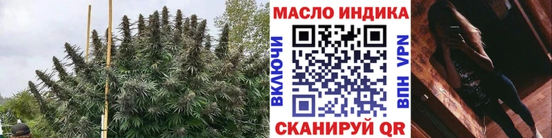 ТГК концентрат  Гаджиево 