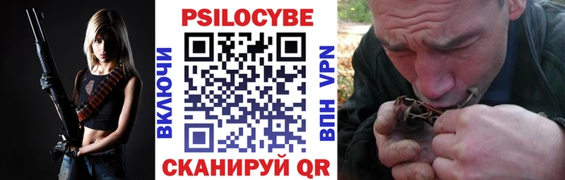 shop Telegram Гаджиево Псилоцибиновые грибы Cubensis
