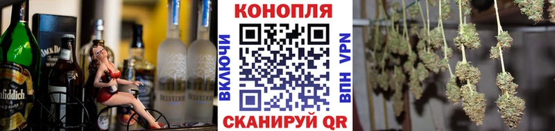 где можно купить   Гаджиево  Каннабис OG Kush 